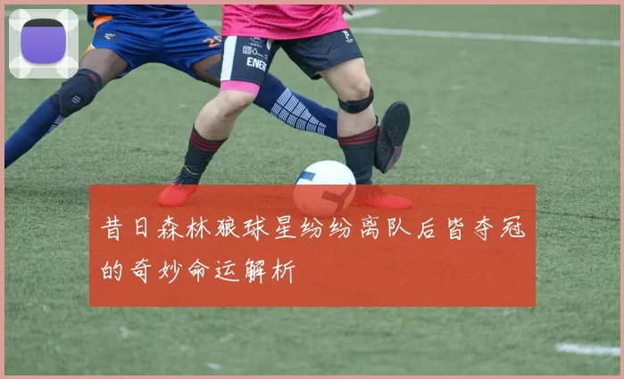 昔日森林狼球星纷纷离队后皆夺冠的奇妙命运解析